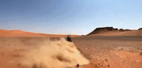 The Saudi Desert Riders