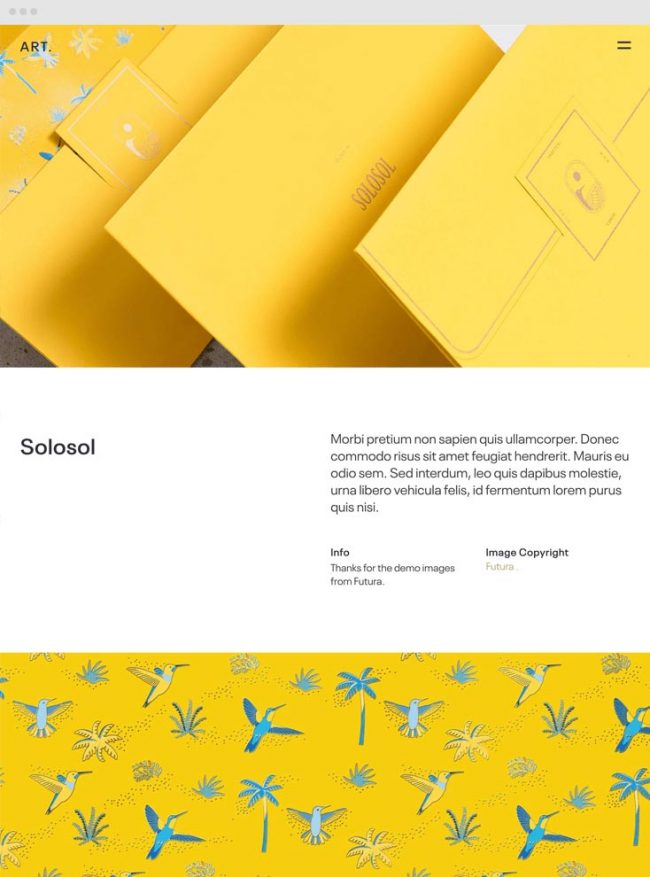 Portfolio from Cover Picture